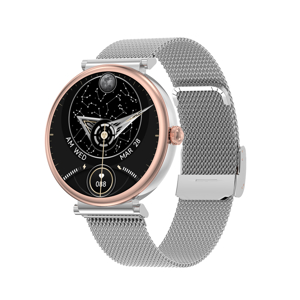 Slika od Smart watch DT109 srebrni (silikonska i metalna narukvica)