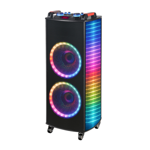 Slika od Zvucnik bluetooth NDR-1010S 100W 2*10 inca sa dva mikrofona crni